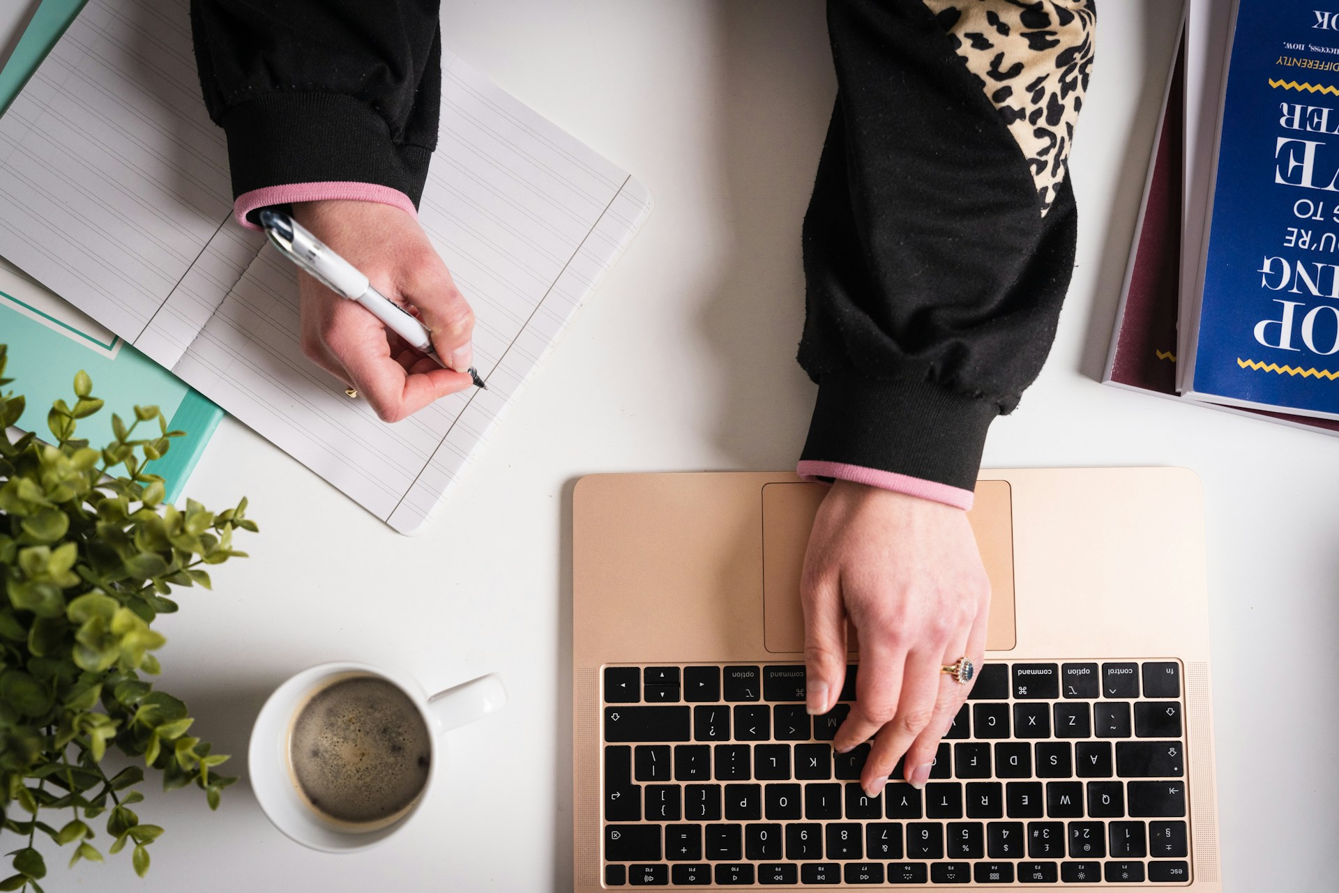 Digital marketing agencies in USA industry statistics Growth of marketing companies in United States Inovixus digital marketing agency leading USA market SEO and PPC agencies statistics USA Online marketing industry growth chart USA